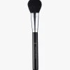A19 Pro Brush - Blush Brush