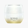 Absolute Silk Cream 40 ml