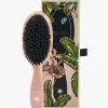Hair Brush Medium Blush Rose