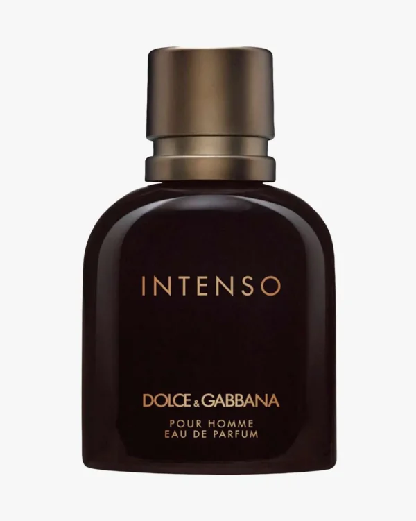 Intenso EdP