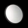 Signature 10x Suction Mirror